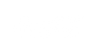 Partner company